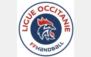 ligue occitanie HANDBALL